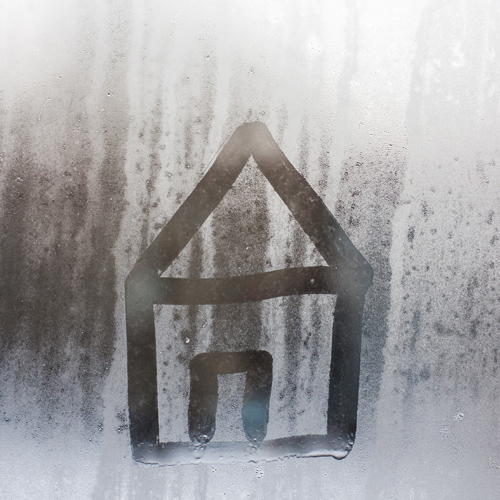 Damp Surveys 1 Damp Survey