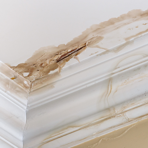 Types of Damp 4 Penetrating Damp