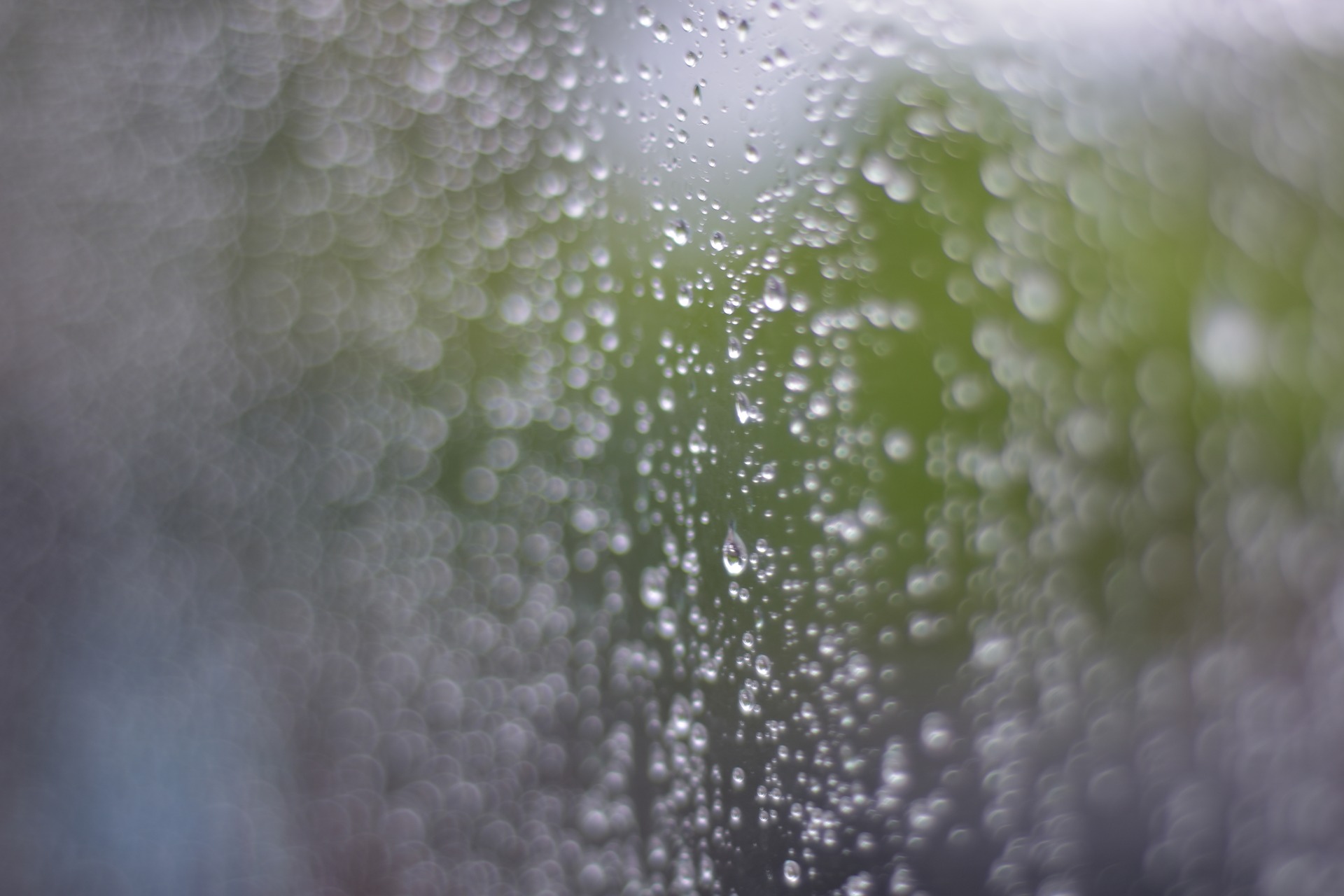 Finding the source of damp in a Manchester apartment 1 Water ingress